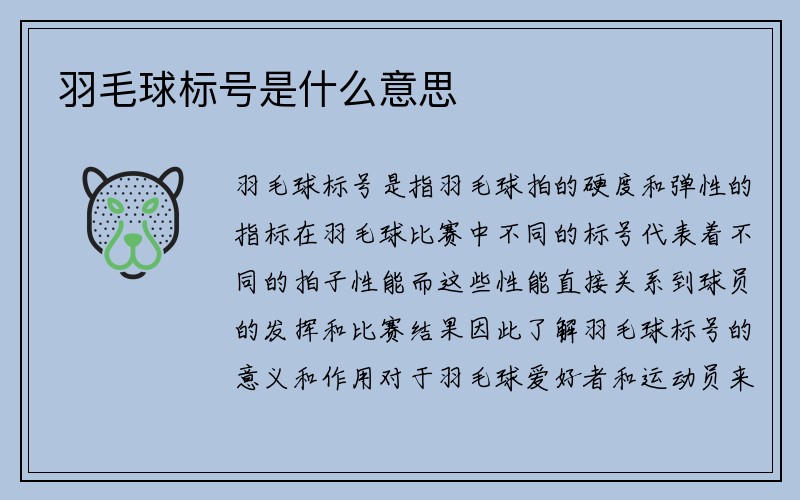 羽毛球标号是什么意思