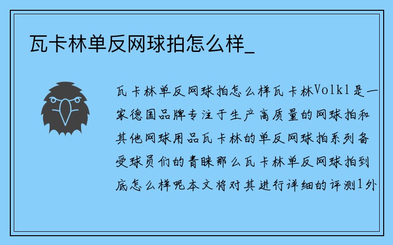 瓦卡林单反网球拍怎么样_