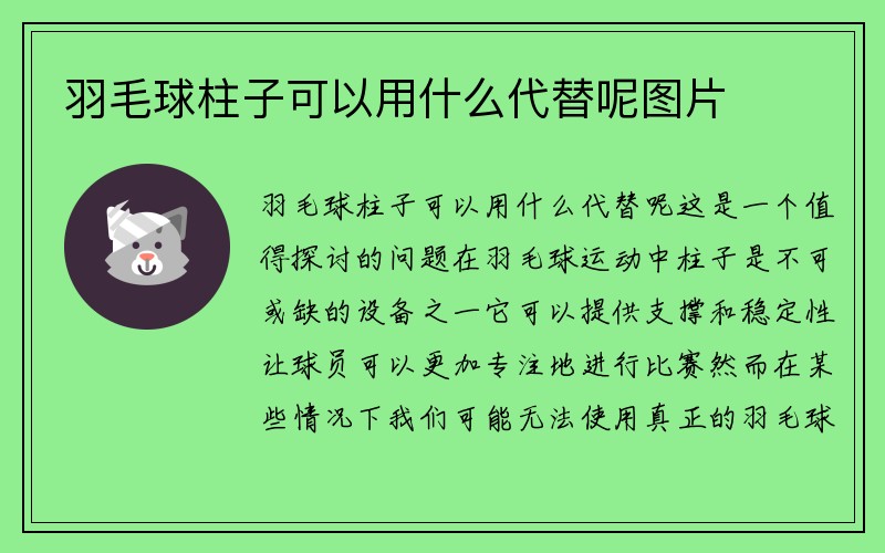 羽毛球柱子可以用什么代替呢图片